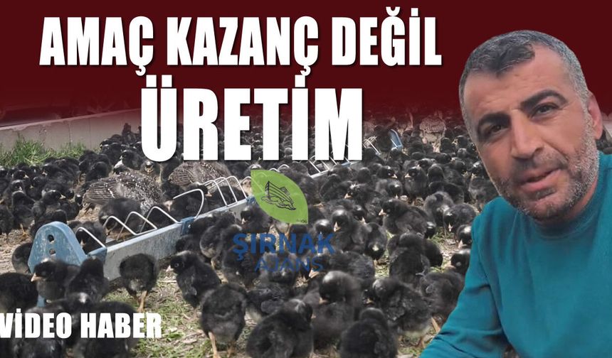 Silopi’de 10 Liraya Horoz Satışı