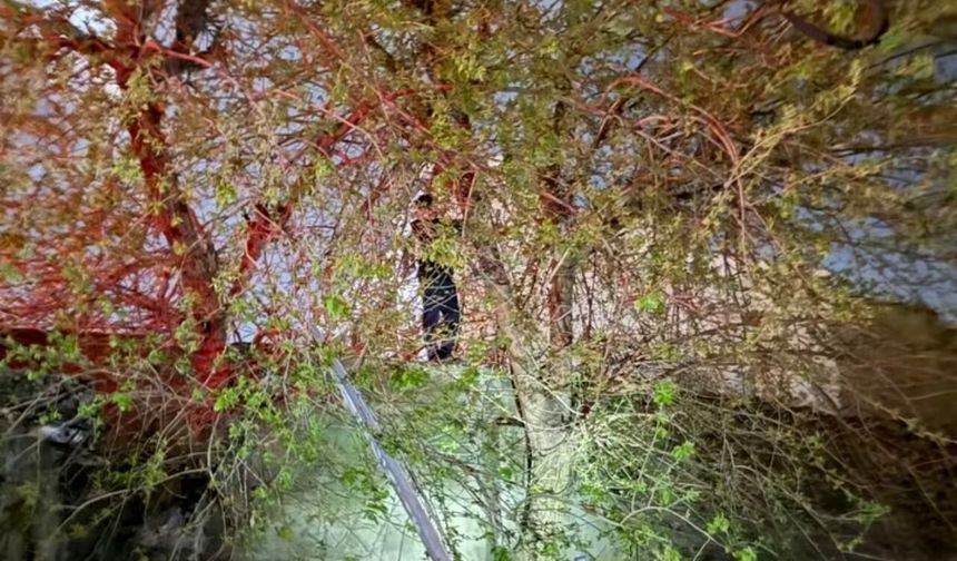 Cizre'de film gibi kurtarma operasyonu