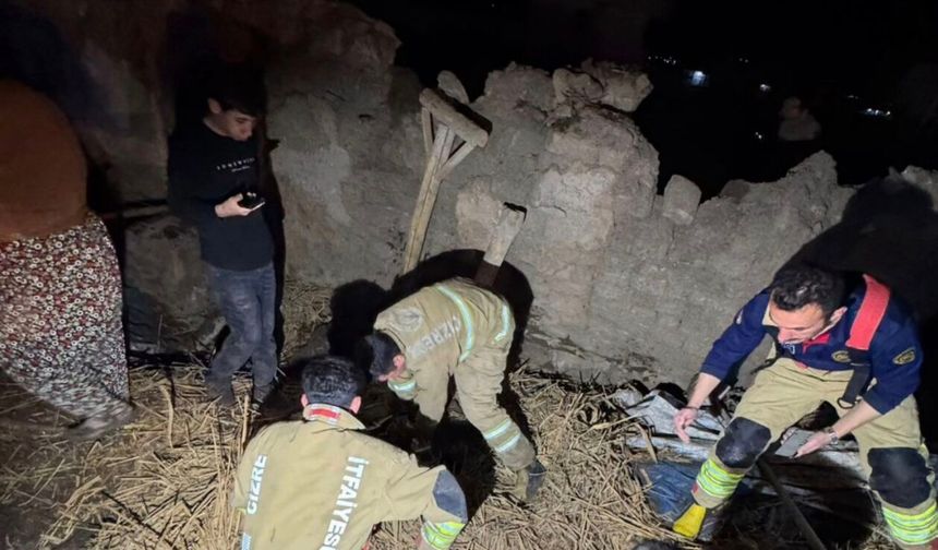 Cizre’de ahır çöktü, Hayvanlar telef oldu