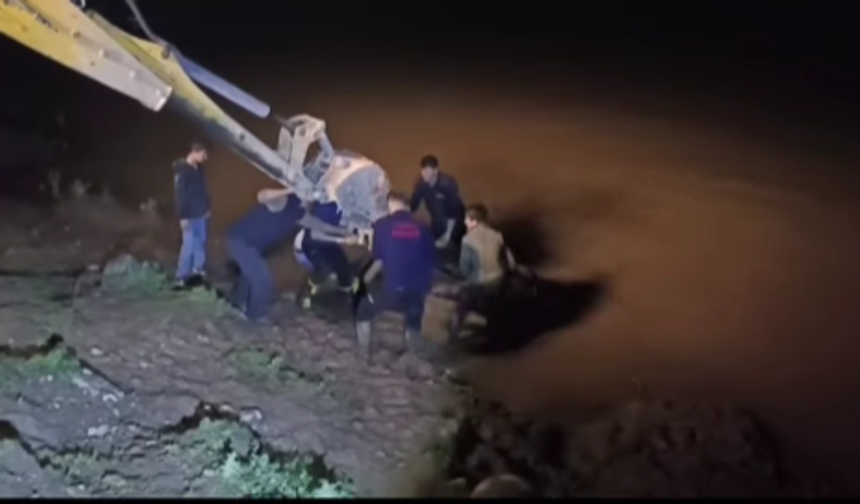 Dicle’ye Düşen İnek İçin Ekipler Seferber Oldu