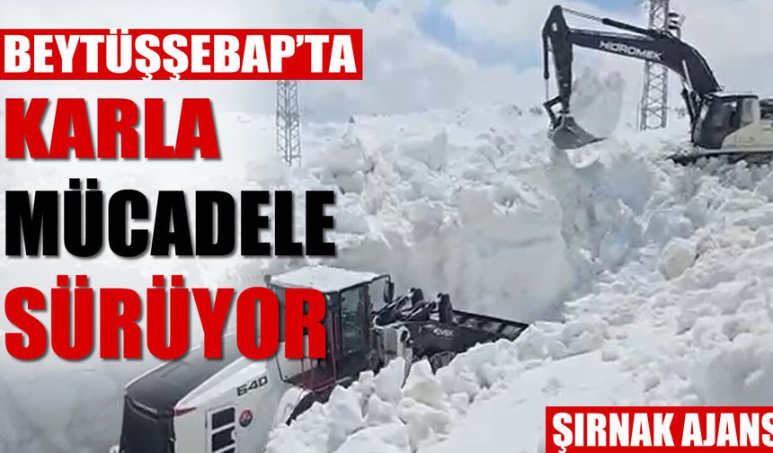 Takvim baharı gösterdi, Beytüşşebap dağlarında kış sürüyor