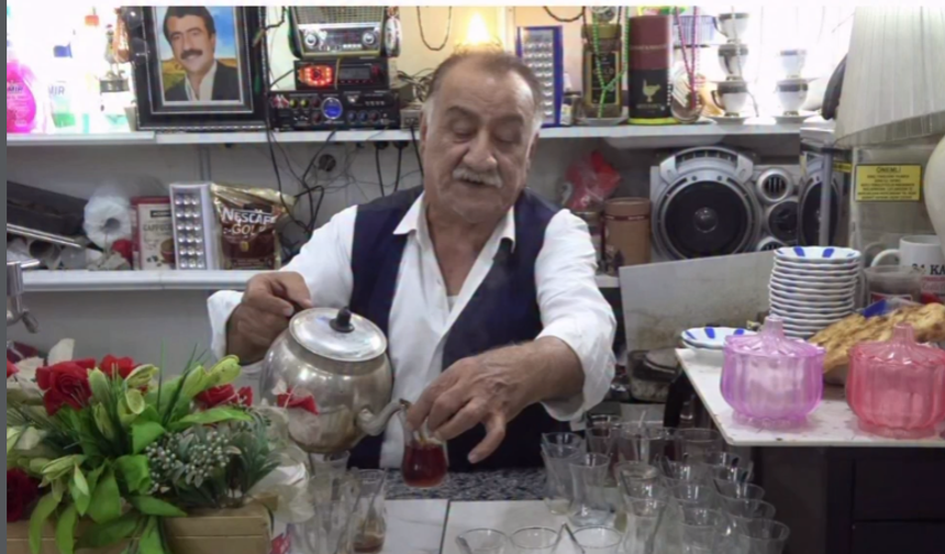 Yarım Asırlık Çınar Kahveci Celu Yoğun Bakımda