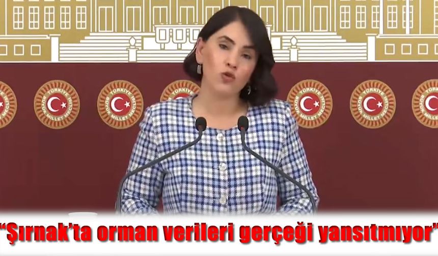 Milletvekili Aslan, “Şırnak’ta orman verileri gerçeği yansıtmıyor”
