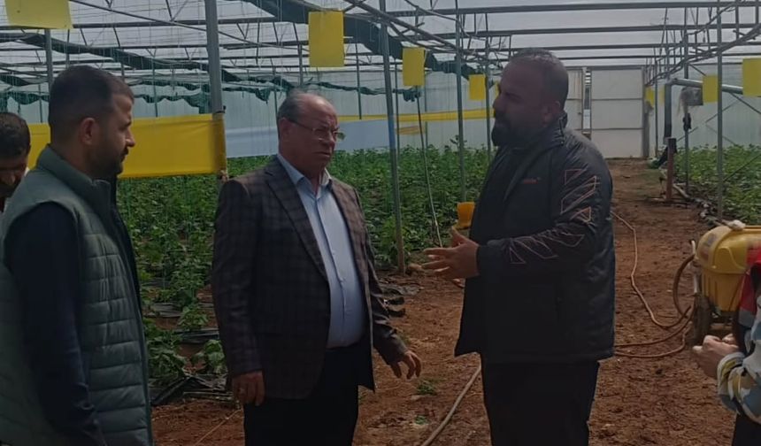 Silopi’de Sera Üretimi Yerinde İncelendi
