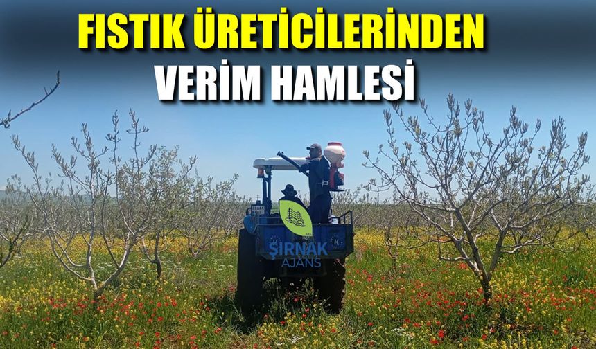 İdil’de Üreticiden Verim Hamlesi