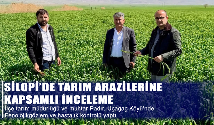 Silopi’de tarım arazilerinde kapsamlı inceleme