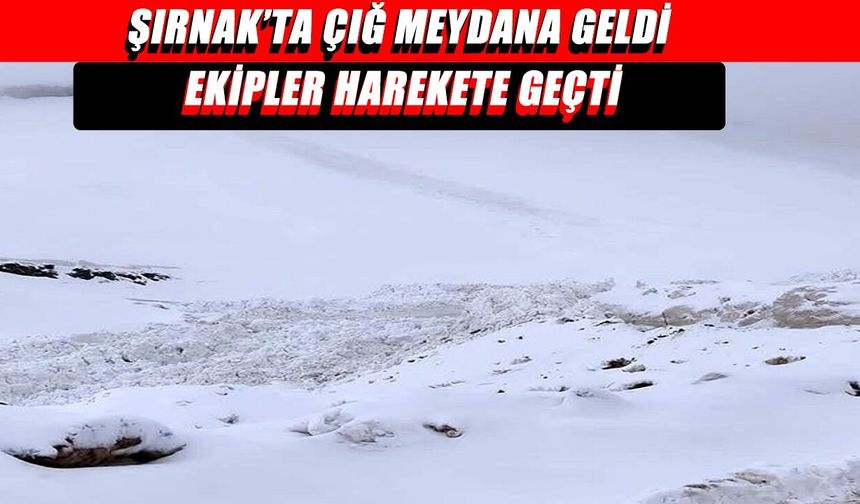 Uzungeçit yolunda çığ, ulaşım durdu