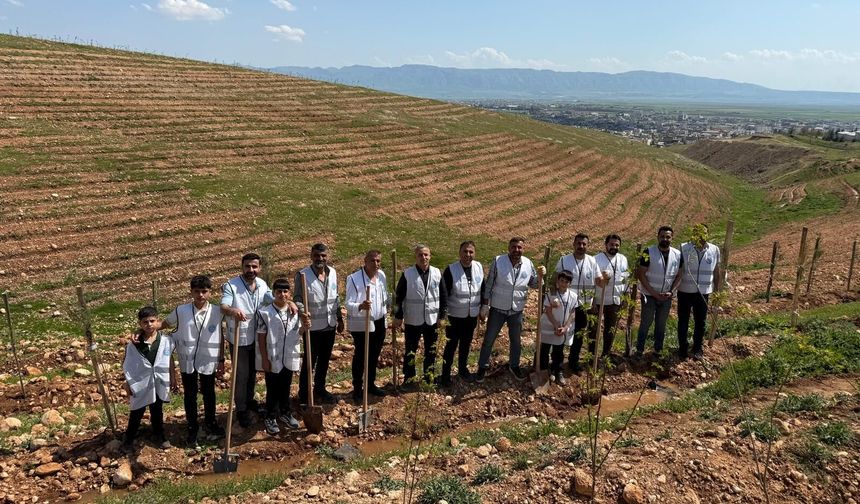 Gönüllülerden Silopi’ye nefes olacak çalışma