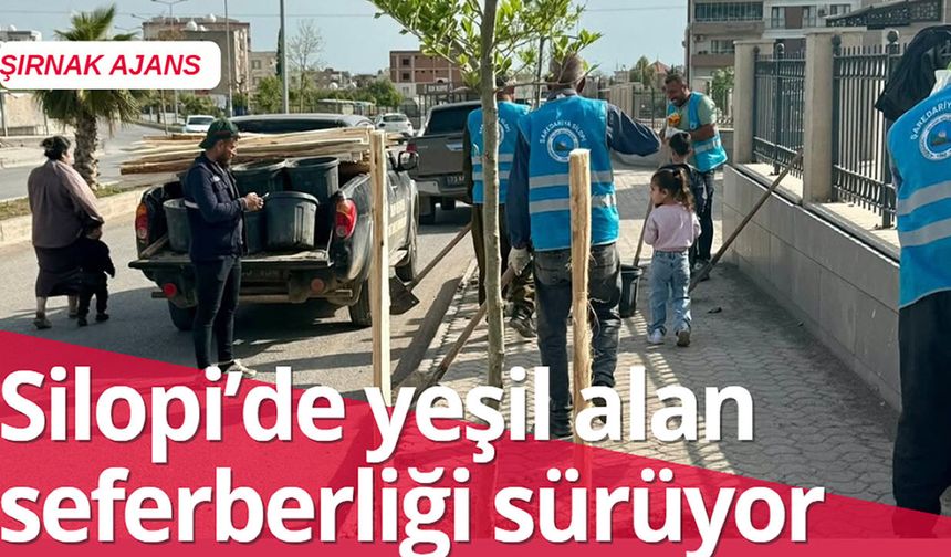 Silopi’de yeşil seferberliği sürüyor