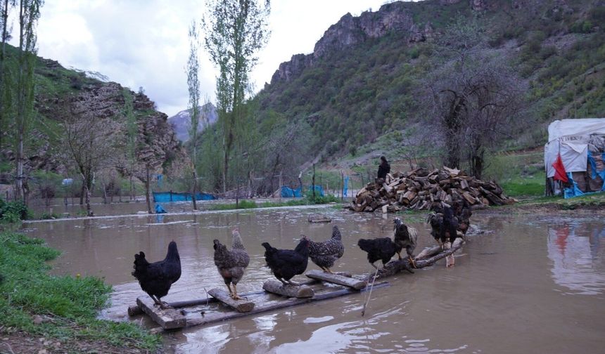 Habur Taştı, Beytüşşebap Sulara Teslim Oldu