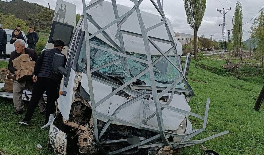 Hakkari'de Yolcu minibüsü direğe çarptı,11 yaralı