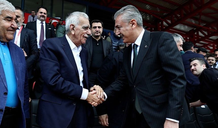 Mardin’de Maça Damga Vuran Tokalaşma