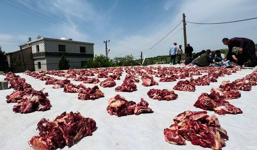 Şırnak'ta 300 Yıllık Kurban Geleneği Yaşatıldı