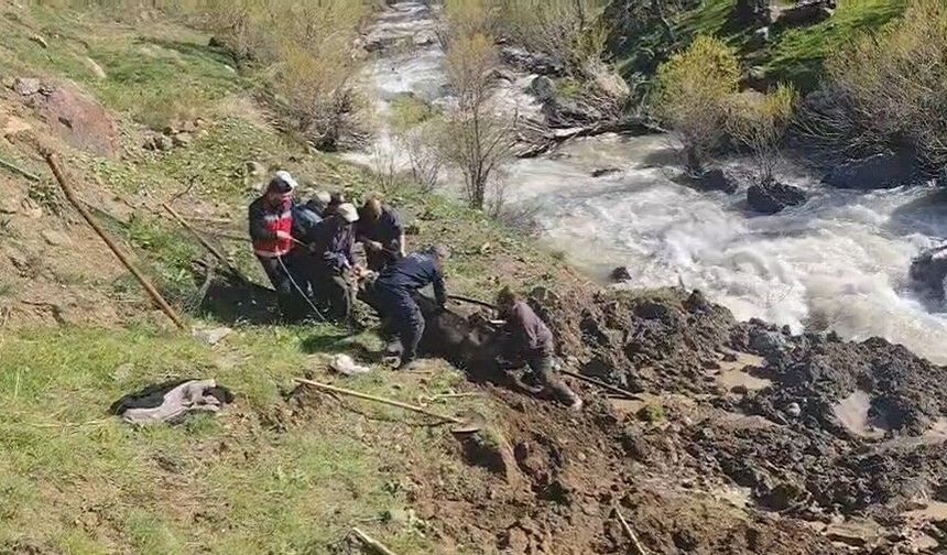 Bataklığa saplanan inek kurtarıldı