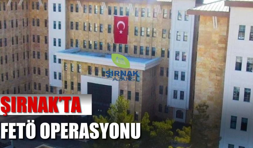 Şırnak’ta FETÖ operasyonu, 3 gözaltı