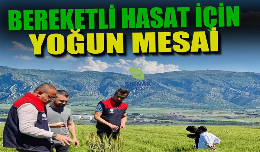 Silopi’de bereketli hasat için yoğun mesai