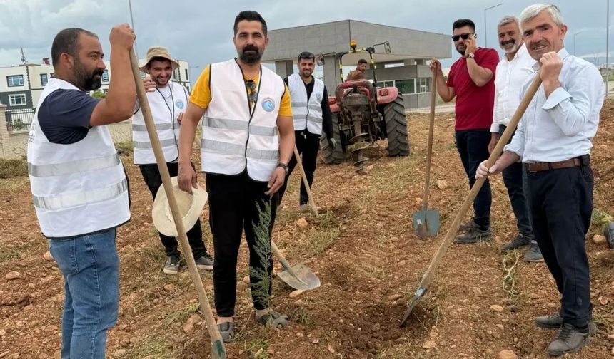 Silopi’de hastane bahçesine 450 fidan dikildi