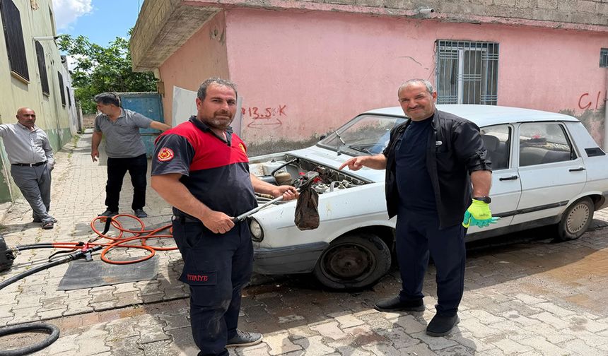 Otomobilin motoruna giren yılanı itfaiye çıkardı