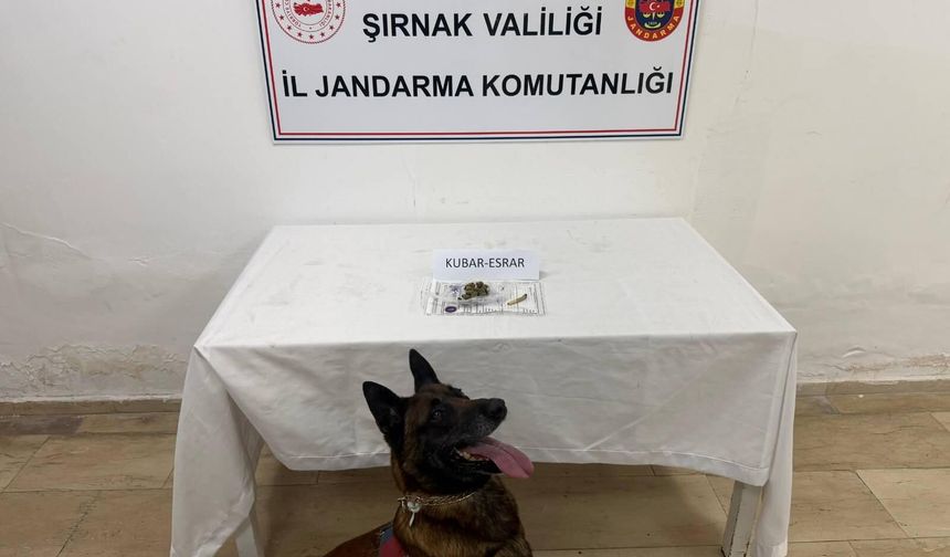 Şırnak’ta Dev Operasyon, 105 Şüpheliye İşlem