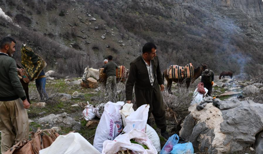 Şırnak’ta Pancar Zamanı, At Sırtında Gelen Bereket