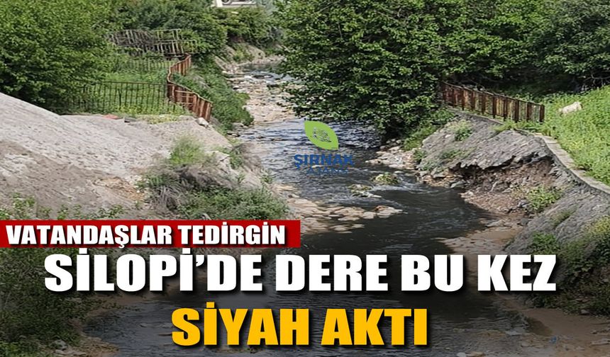 Silopi’de dere bu kez siyah aktı vatandaşlar TEDİRGİN