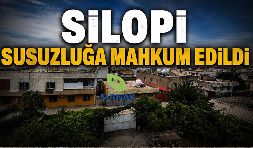 Silopi Susuzluğa Mahkûm Edildi, Vatandaş Tepkili, Belediye Sessiz