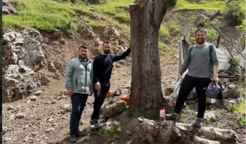 Uludere’de Uygulamalı Ceviz Aşısı Eğitimi