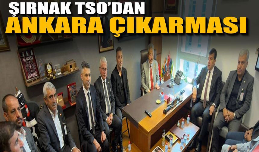 Şırnak TSO’dan Ankara çıkarması