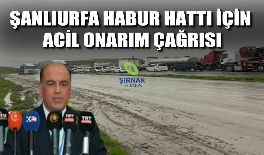 Nevaf Kılıç: Şanlıurfa Habur Yolundaki Asfalt Tahribatı Ticaretin Can Damarını Tehdit Ediyor