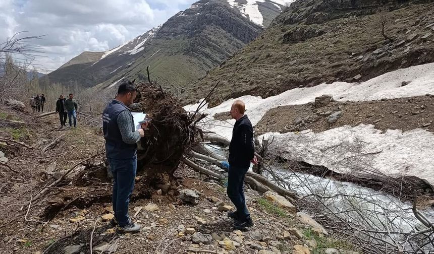 Şırnak'ta Çığın Vurduğu Meyve Bahçeleri Tek Tek İnceleniyor