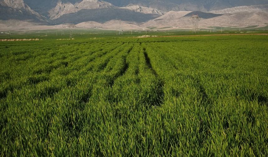 Şırnak Genelinde Kırsal Kalkınma İçin Düğmeye Basıldı