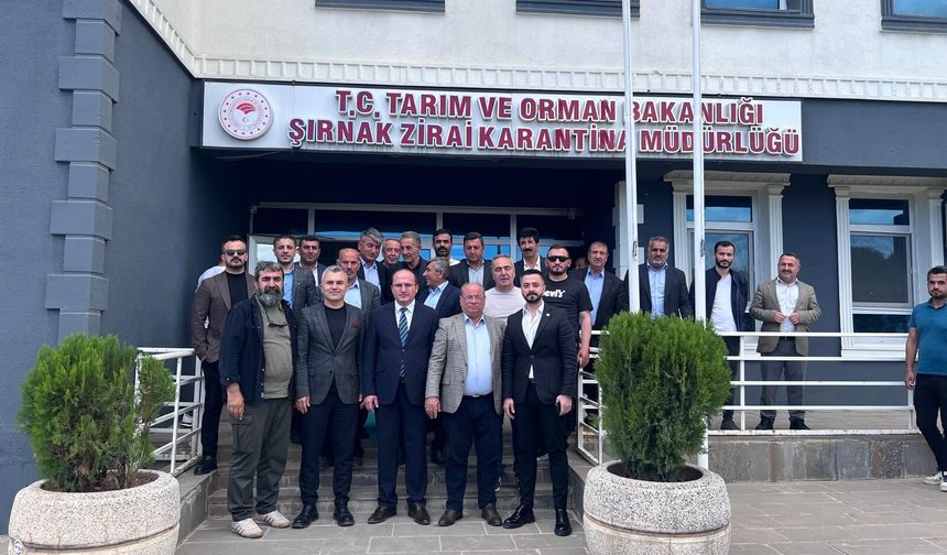 Silopi’de hibeler neden kullanılamıyor?