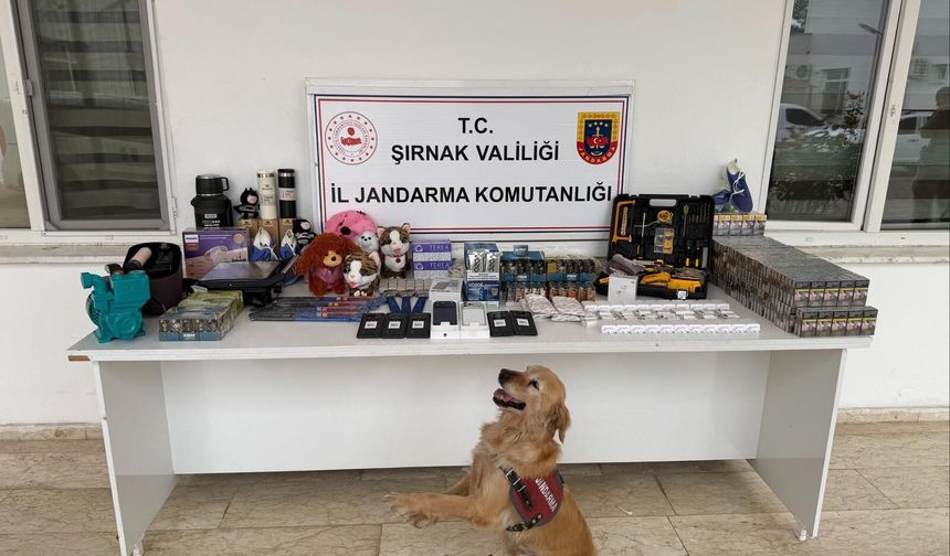 Şırnak’ta Dev Operasyon, 117 Şüpheliye İşlem