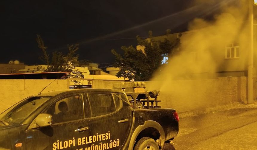 Sivrisinek ve haşereye karşı mücadele