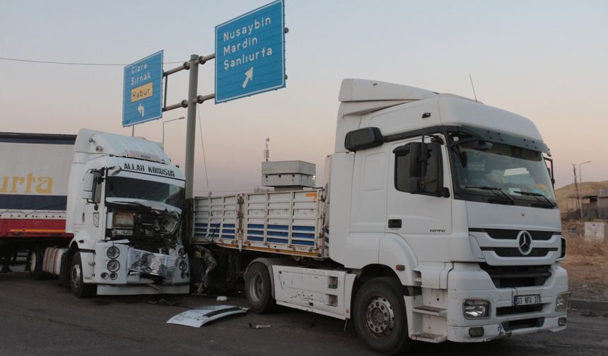 Şırnak'ta iki tır çarpıştı: 2 yaralı