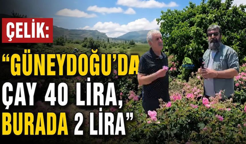 Güneydoğu belediyelerine Isparta modeli çağrısı