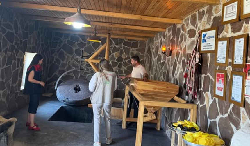 Tescilli Şırnak Dergul Tahini Mercek Altına Alındı