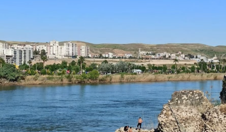 Cizre’de Dicle Nehri kenarında dikkat çeken tehlike!