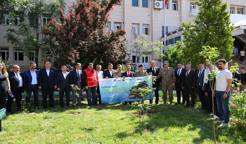 Şırnak’ta Dünya Çevre Günü’nde fidan dikildi