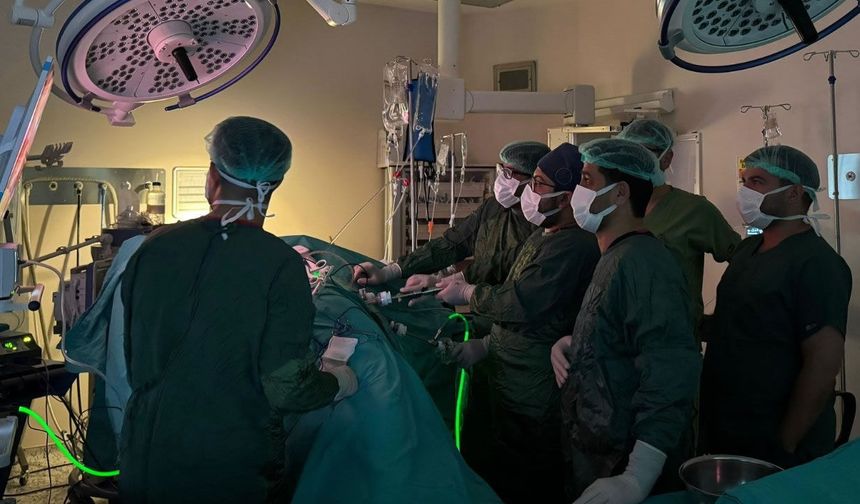 Kapalı yöntemle böbrek koruyucu kanser ameliyatı