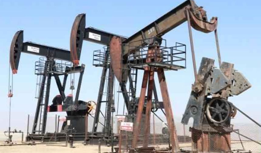 Mardin'de petrol çıktı Karar Resmi Gazete'de yayımlandı