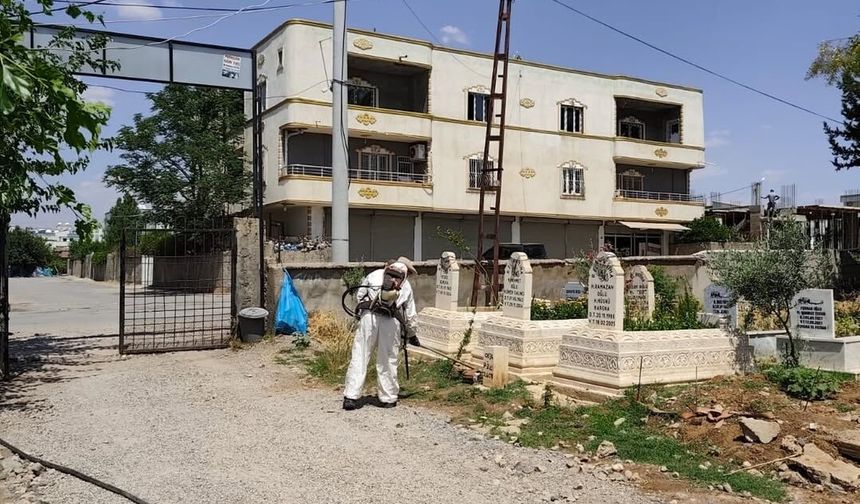 Mezarlıklarda ot temizliği çalışmaları sürüyor