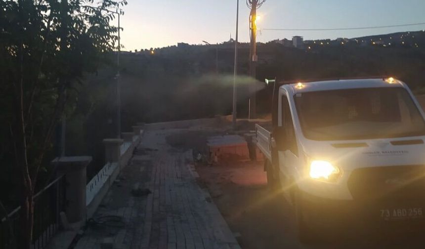 Şırnak’ta Haşereyle Mücadele Aralıksız Sürüyor