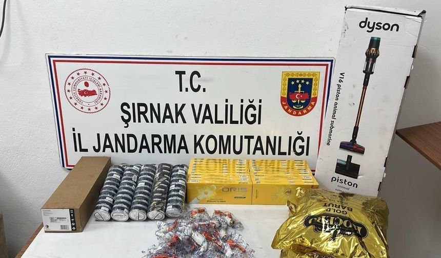 Sınır Hattında Kaçakçılık ve Göçmen Operasyonu 91 Gözaltı