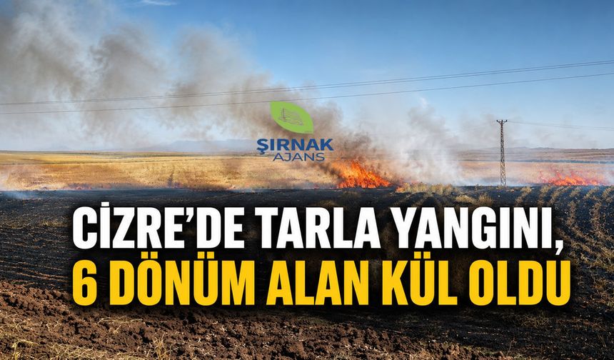 Cizre’de tarla yangını, 6 dönüm alan kül oldu