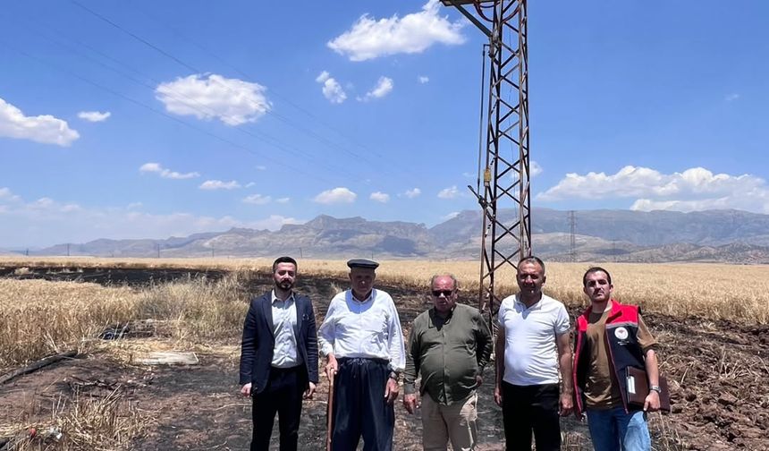 Silopi'de  Buğday Ekili Alanda Zarar Tespiti