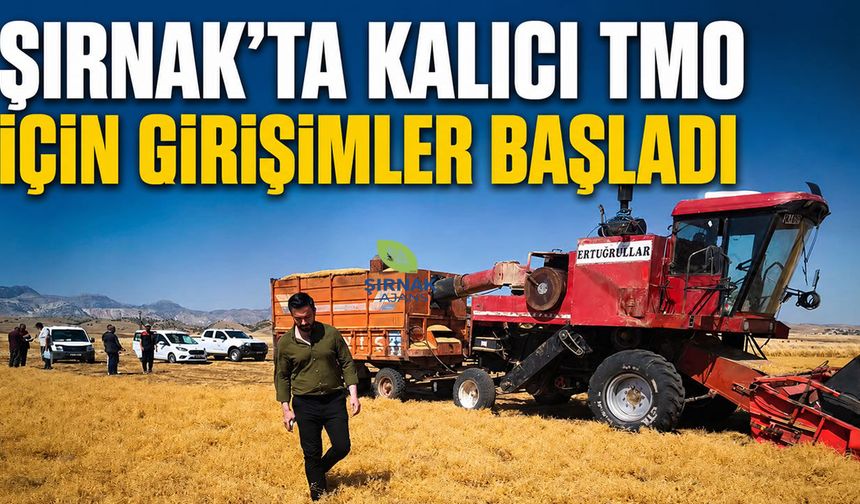 Şırnak’ta kalıcı TMO için girişimler başladı