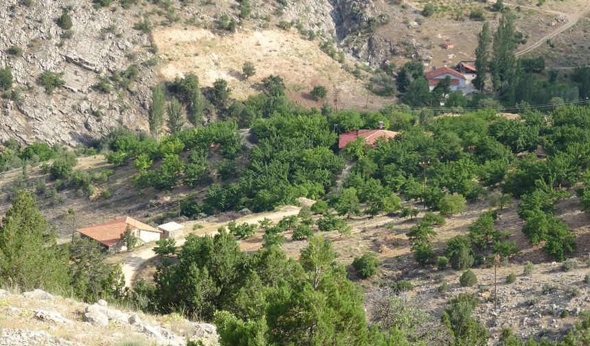 Kayıp kadın için bin 600 rakımlı dağda arama sürüyor