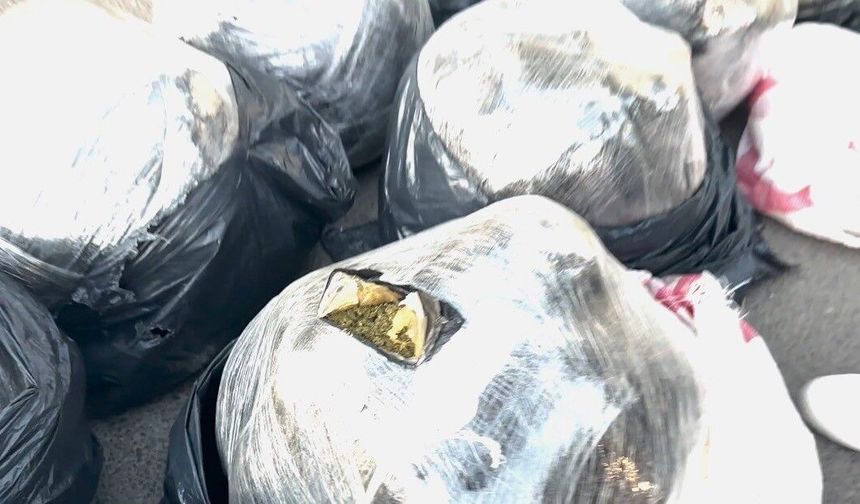 Pamuk yüklü iki tırda 112 kilo esrar ele geçirildi