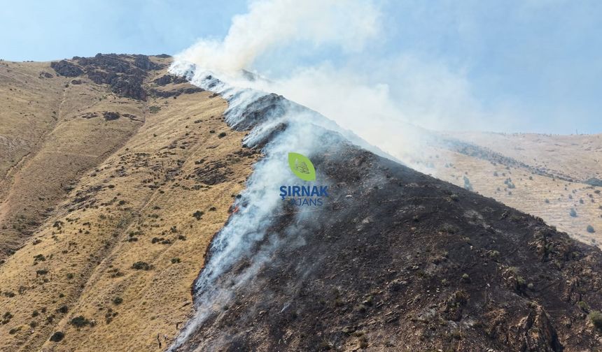 Dağlık alanda çıkan yangında 1 şüpheli gözaltına alındı